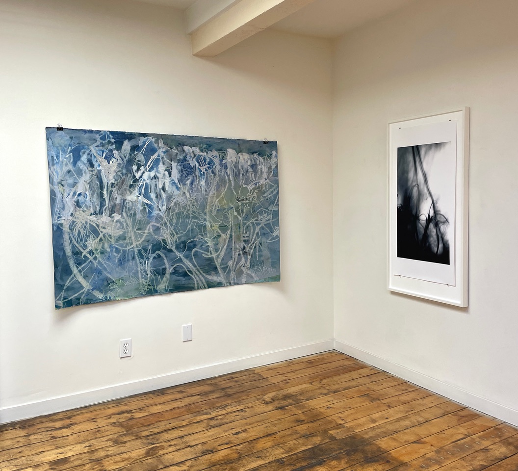 Installation view: